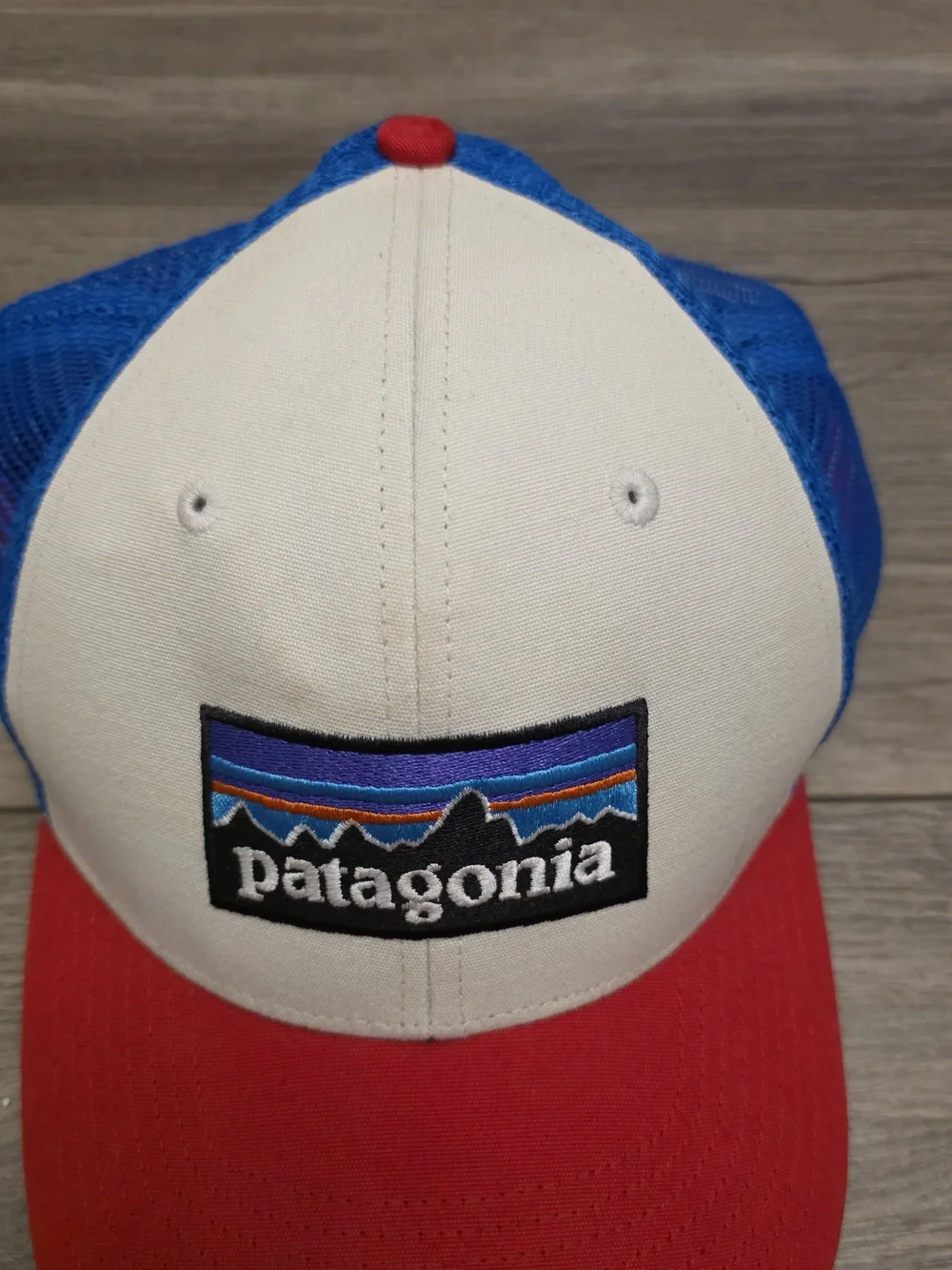 Patagonia trucker hat